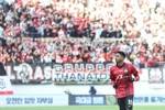 足球报谈申花对手首尔FC：主帅遭遇信任危机，球队近期状态低迷